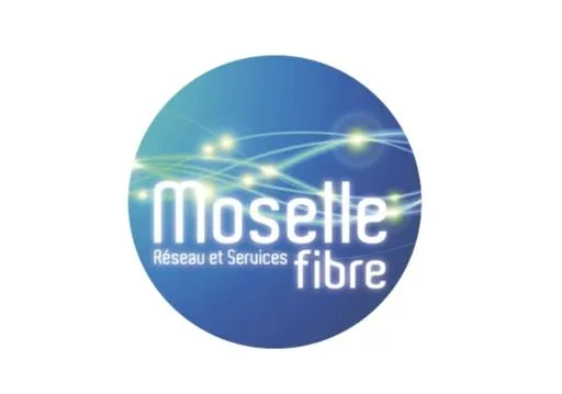 Moselle fibre